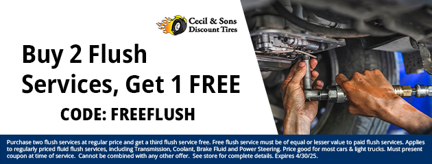 Buy 2 Flush Services, Get 1 FREE